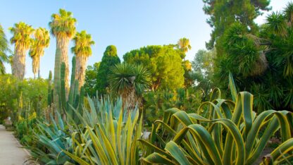 Jardín Botánico de la Universitat de València.