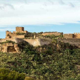 Sagunt (Domus Baebia)- Alumnat llatí (4t ESO, 1r i 2n Batx) 25-26