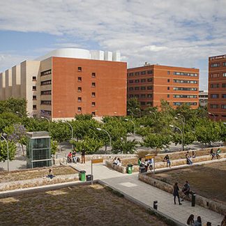 JPA UNIVERSITATS UV-UPV (1.º BATX.) 25-26